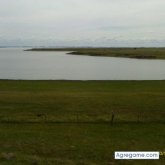 tino181 chico soltero en Paso Molino