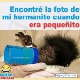 moisesjm chico soltero en Achaguas