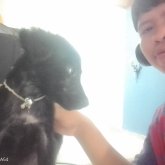 tonis castillo guerrero