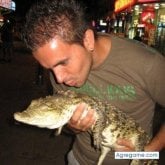 Foto de perfil de YoHi