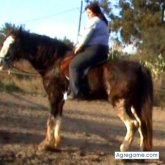 XTina chica soltera en Barcelona