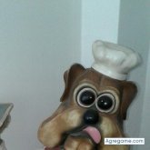Foto de perfil de amirislam