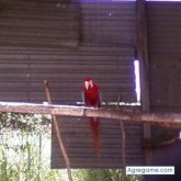 solosoysalvaje foto #21