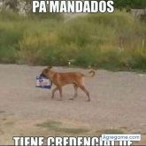 Foto de perfil de gonzalezjoshua