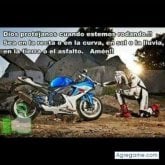 Foto de perfil de charlybraun1029