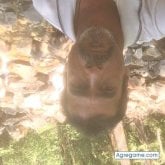 Foto de perfil de Tomasaguilar