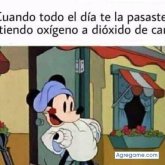 Foto de perfil de angelarcanuz