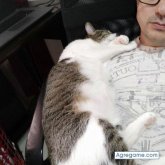 marinmarin8436 chico soltero en Desamparados