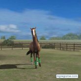 tengowahatsapp chico soltero en Parla