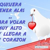 viki chica separada en Valencia