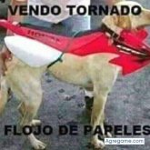 Foto de perfil de Daniel_franco