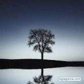 nelson301989 foto #8