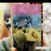 Nikolai_marcos chico soltero en Miraflores