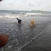 joseleonardo4278 chico soltero en Cabudare