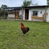 Pochoclera. Busco pareja. Hombres.!!!!!